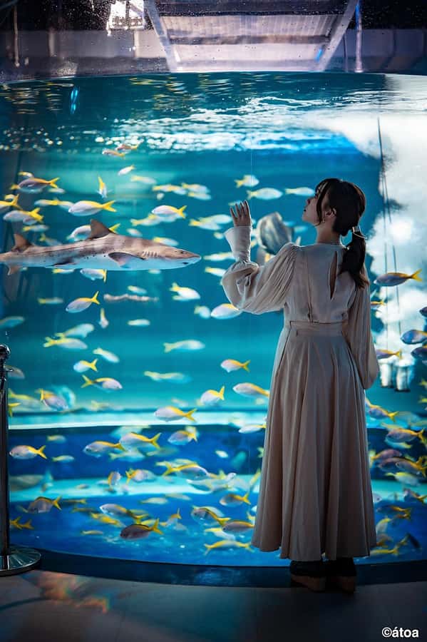 Kobe: Urban Aquarium AQUARIUM×ART átoa Entry Ticket - Key highlights to plan for