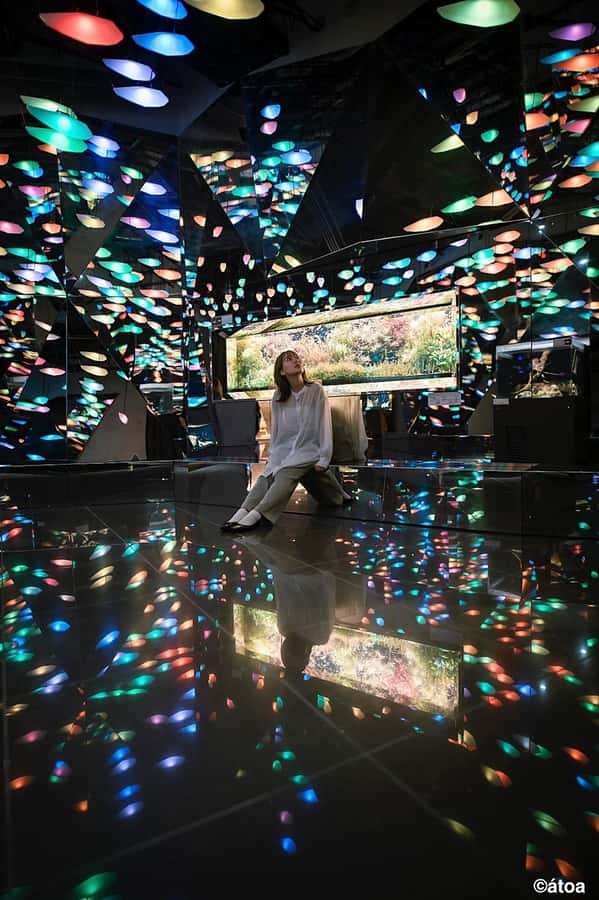 Kobe: Urban Aquarium AQUARIUM×ART átoa Entry Ticket - Atoa’s art-and-aquarium concept: what it feels like in real life