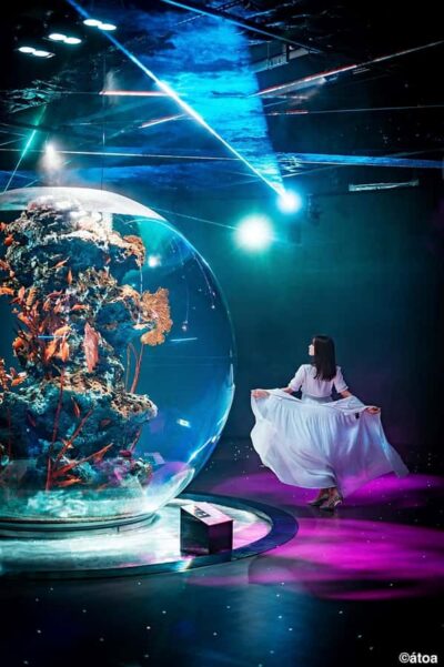 Kobe: Urban Aquarium AQUARIUM×ART átoa Entry Ticket - Getting your ticket: e-voucher exchange and where to go