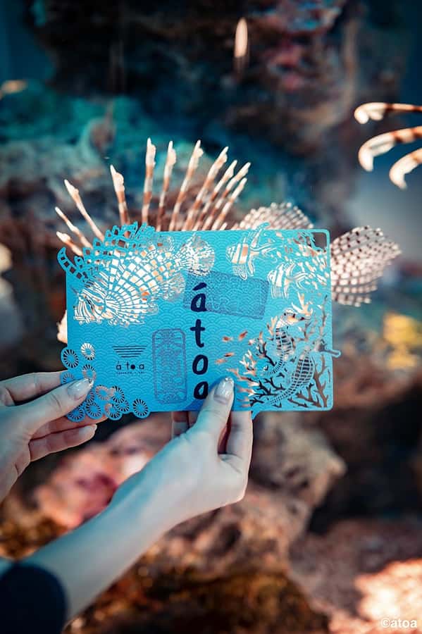 Kobe: Urban Aquarium AQUARIUM×ART átoa Entry Ticket - Inside the aquarium: 8 zones of marine life and art installations