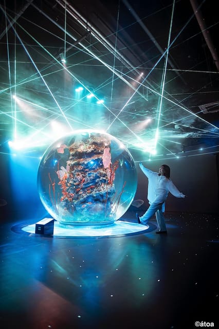 Kobe: Urban Aquarium AQUARIUM×ART átoa Entry Ticket - Ticket value: $16 admission and how the loop bus combo can help