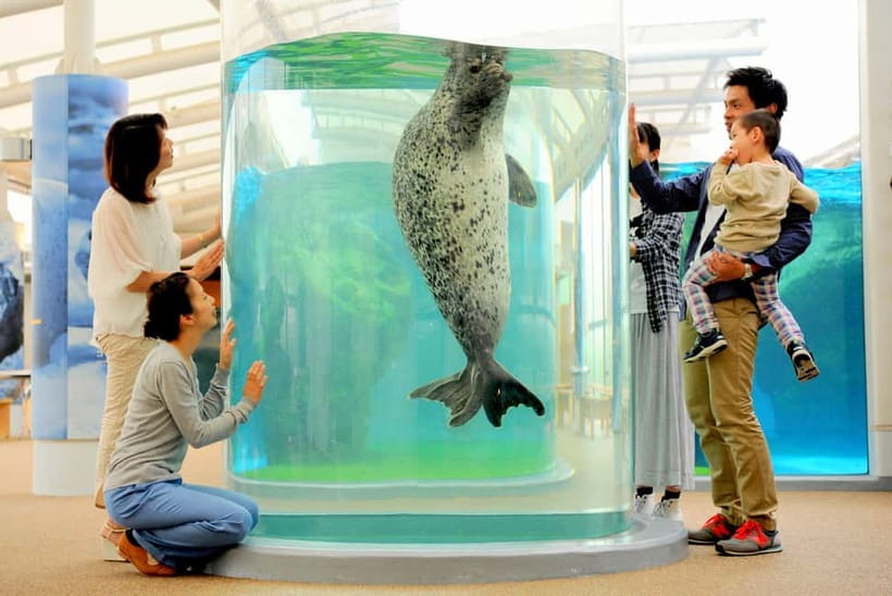 Kyoto Aquarium Admission Ticket - Kyoto Aquarium in Umekoji Park: a quiet start with nature built in