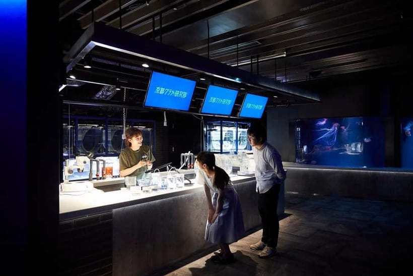 Kyoto Aquarium Admission Ticket - The satoyama recreation: a rural Japan walk inside an aquarium