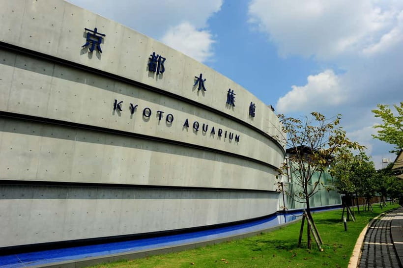 Kyoto Aquarium Admission Ticket - Ask the breeding staff: where curiosity turns into real context