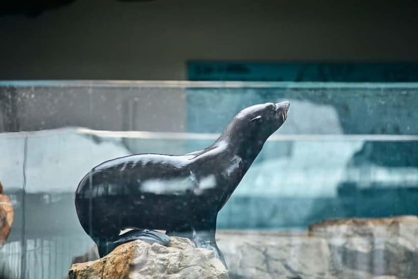 Kyoto Aquarium Admission Ticket - Ticket price and value: is $16 a fair deal?