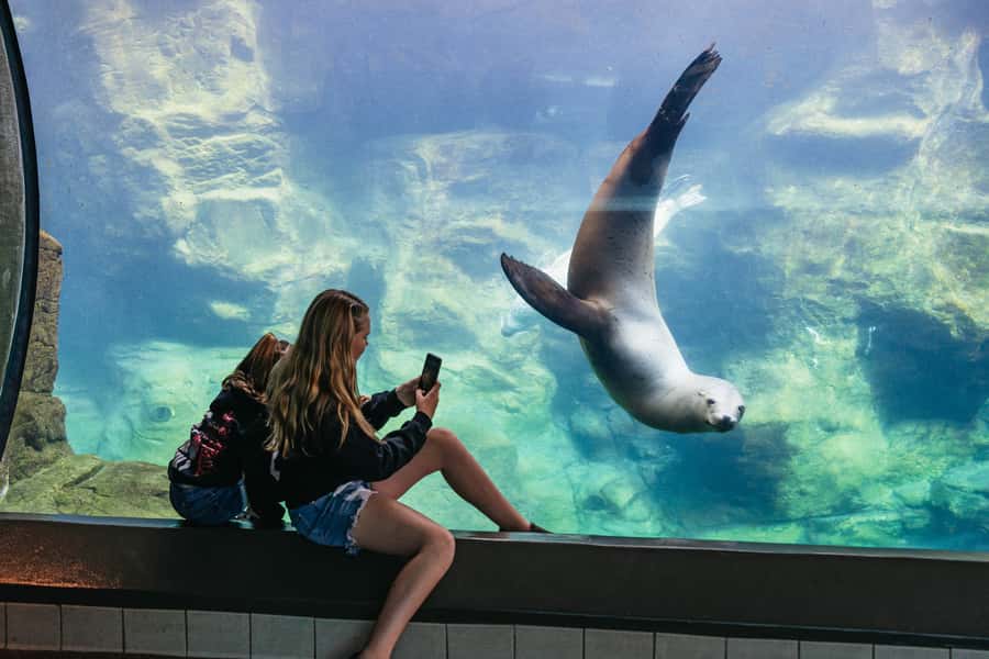 LA: Aquarium of the Pacific Skip-the-Line Entry - Key things to know before you go