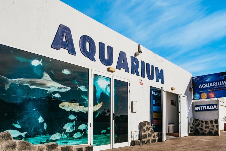 Lanzarote: Aquarium Entry Ticket - Key things I’d focus on before you go