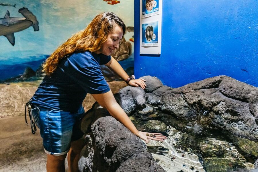 Lanzarote: Aquarium Entry Ticket - Should you book the Lanzarote Aquarium entry ticket?