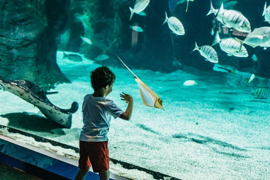 Lanzarote: Aquarium Entry Ticket - Walking through 33 tanks: how long it takes and how to enjoy it