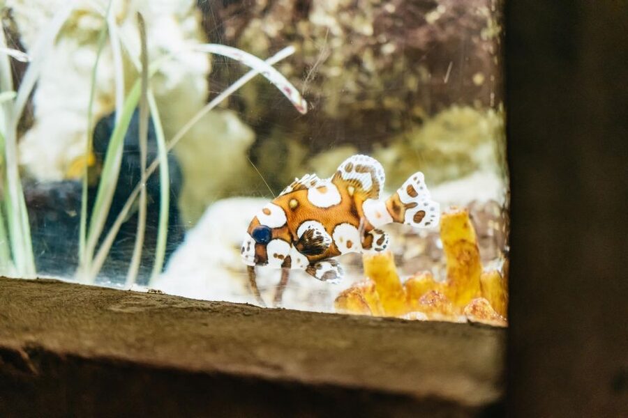 Lanzarote: Aquarium Entry Ticket - Price and value: is $18 a fair deal?