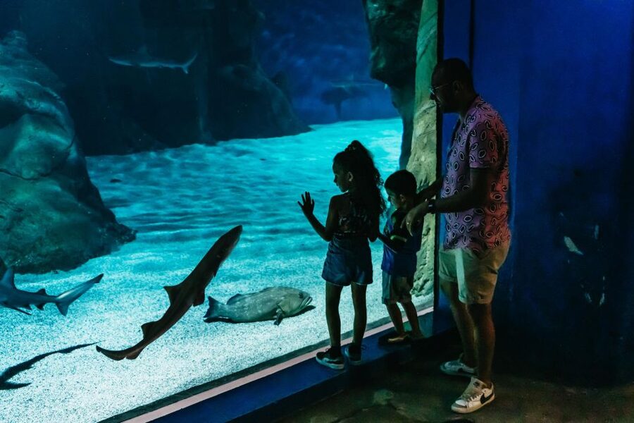 Lanzarote: Aquarium Entry Ticket - Who should book this Lanzarote Aquarium entry ticket?