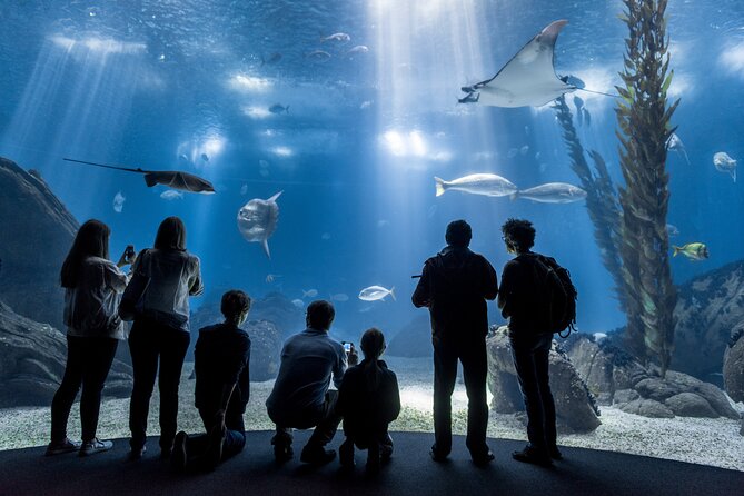 Lisbon Oceanario: Aquarium Entrance Ticket - Key things to know before you go