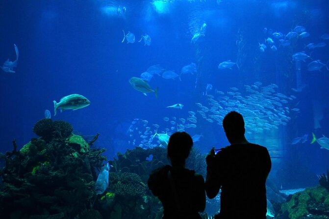 Lisbon Oceanario: Aquarium Entrance Ticket - Two-level route: how the building changes your view of the same animals