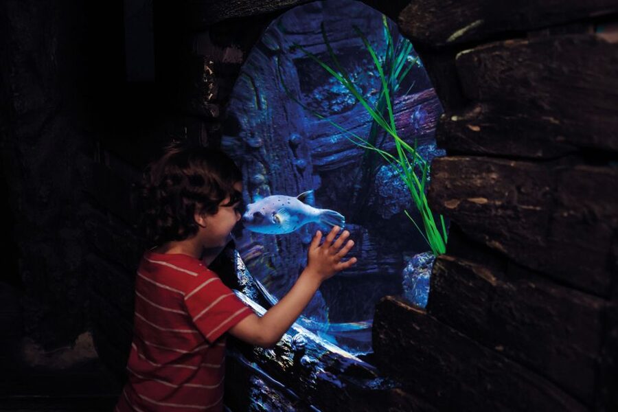 London: Madame Tussauds, London Eye & SEA LIFE Combo Ticket - Key points before you go