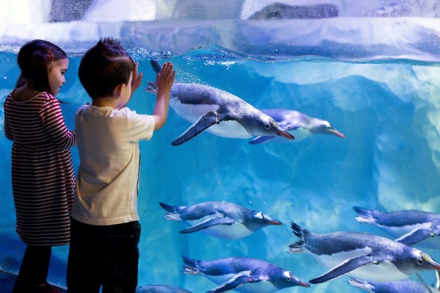 London: Madame Tussauds, London Eye & SEA LIFE Combo Ticket - Value: what you’re really paying for