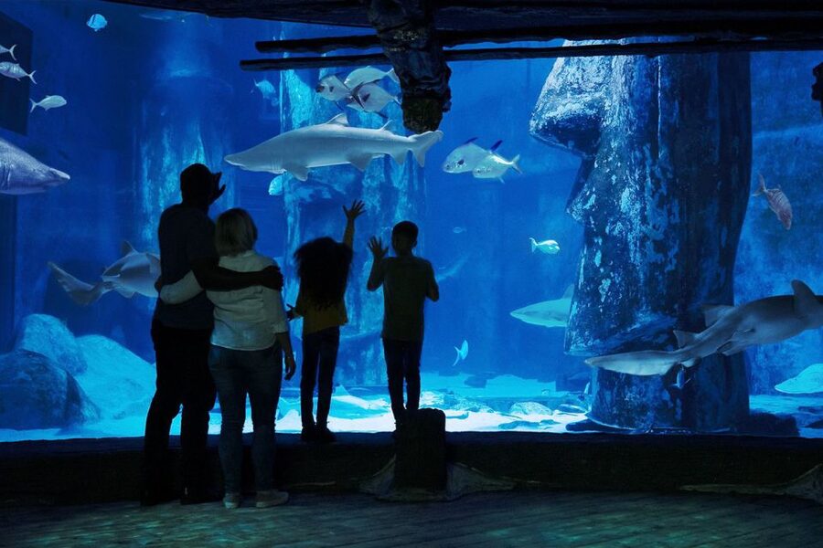 London: Madame Tussauds, London Eye & SEA LIFE Combo Ticket - Who this is best for (and who should think twice)