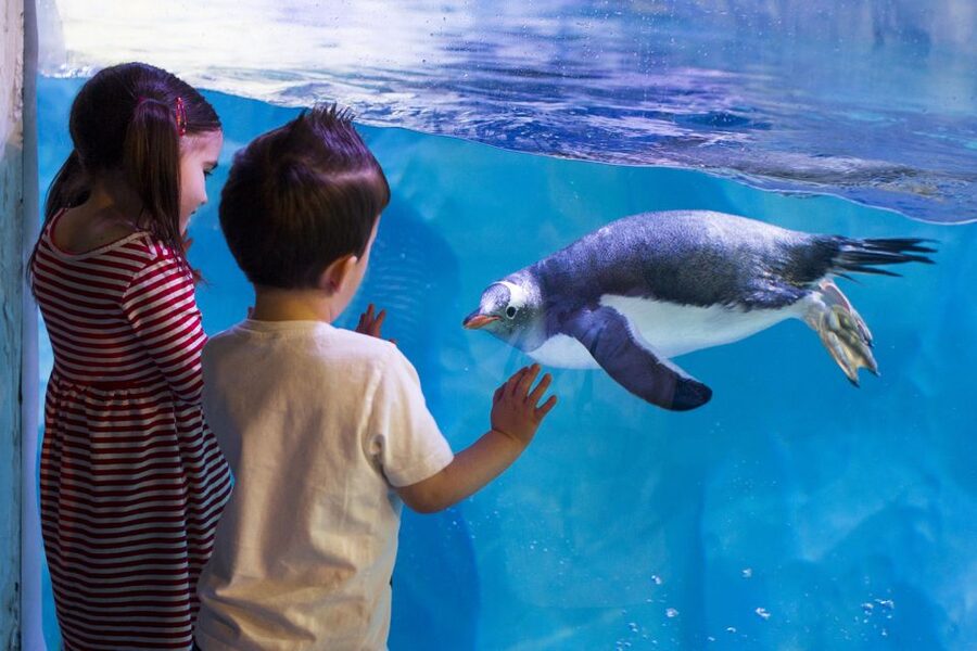 London: Madame Tussauds, SEA LIFE and London Dungeon Entry - SEA LIFE London: 14 themed zones across three floors