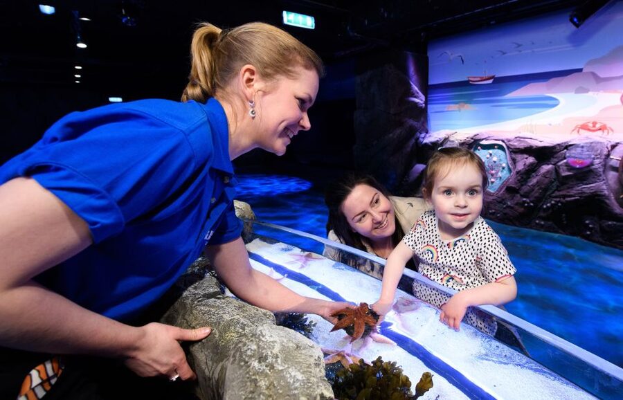London: Madame Tussauds, SEA LIFE and London Dungeon Entry - London Dungeon: jumpy history with shows and effects