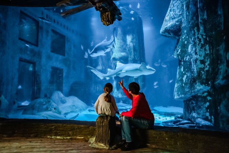 London: SEA LIFE Entry Ticket - Key highlights worth planning for