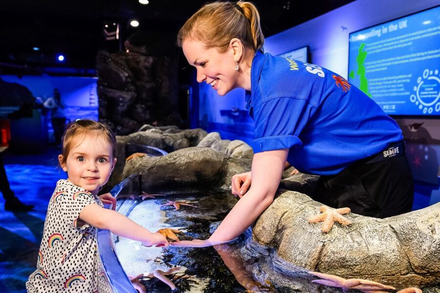 London: SEA LIFE Entry Ticket - SEA LIFE London’s scale: 14 zones across three floors