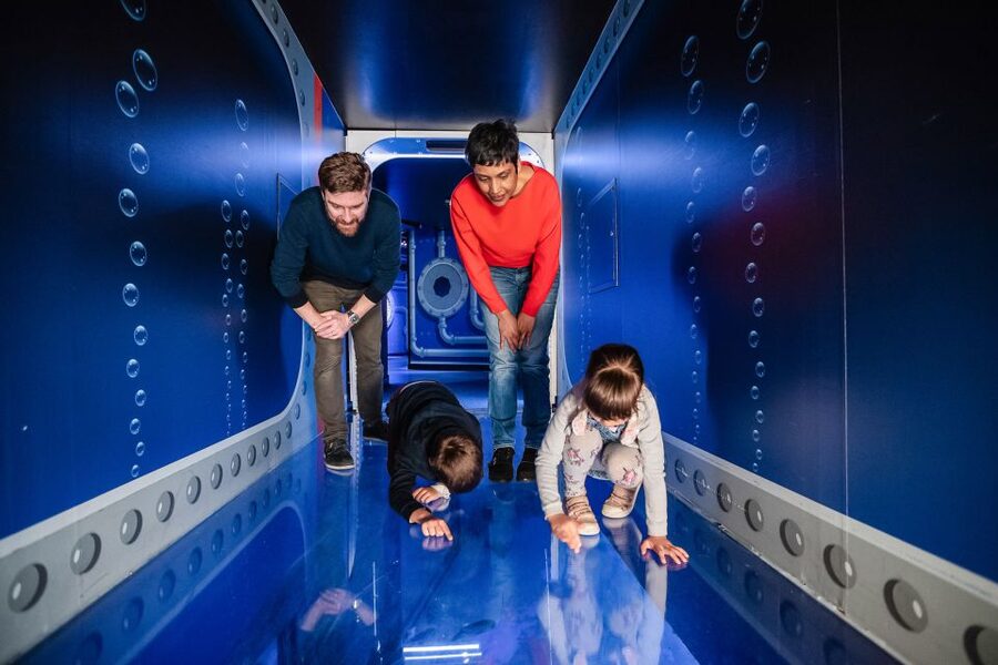 London: SEA LIFE Entry Ticket - Ice Adventure and the Gentoo Penguins: the snowy stop for maximum wow