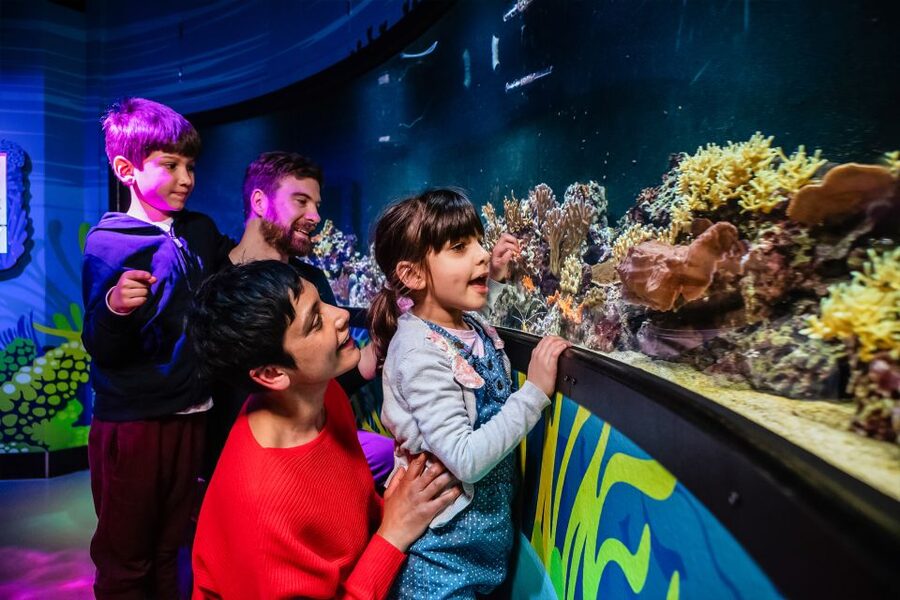 London: SEA LIFE Entry Ticket - Your game plan: how long to stay and how to pace three floors