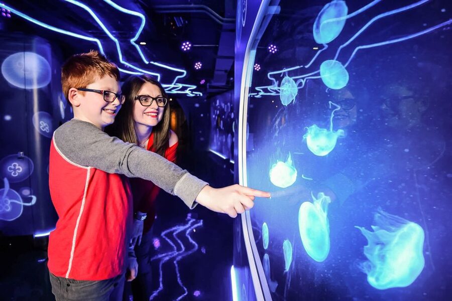 London: SEA LIFE Entry Ticket - Price and practical rules: value, ticket timing, and what you can’t do