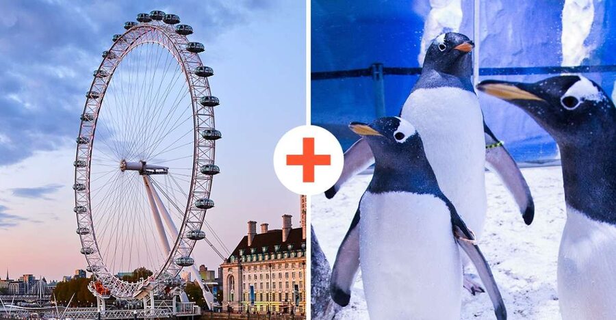 London: SEA LIFE & London Eye Combo Ticket - London Eye Check-In and Your 30-Minute Capsule Ride