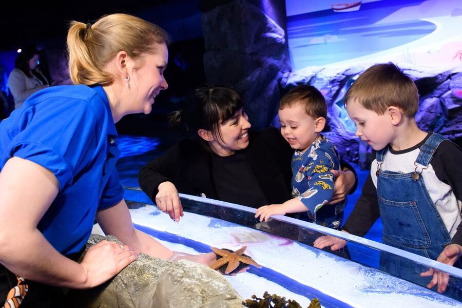 London: SEA LIFE & London Eye Combo Ticket - A Smooth Day Plan: How to Avoid the Most Common Headaches
