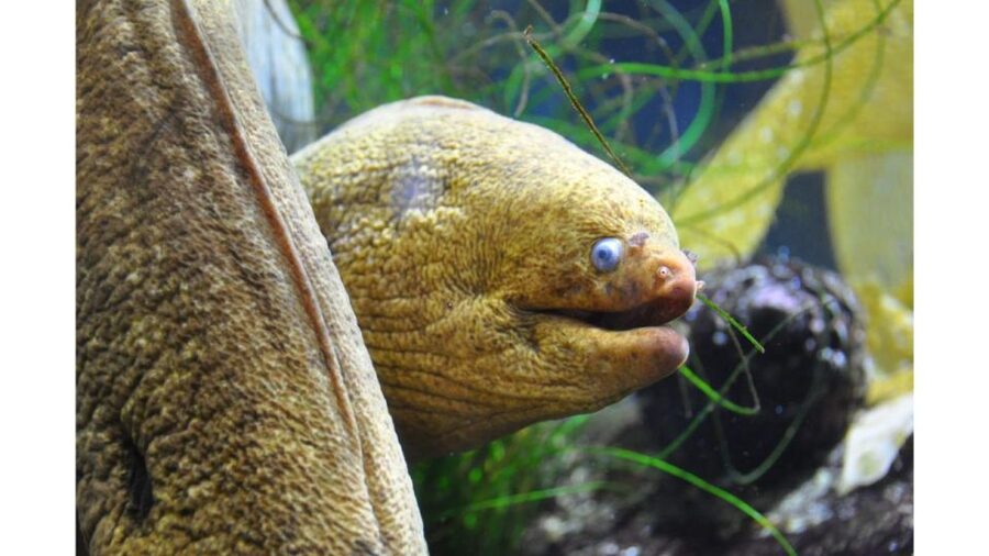 Los Angeles: Heal The Bay Aquarium in Santa Monica - Getting the timing right: plan a short stop, not a whole day
