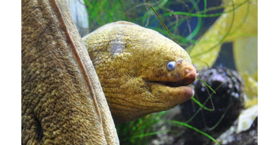 Los Angeles: Heal The Bay Aquarium in Santa Monica - Price and value: what $10 gets you (and what it doesn’t)