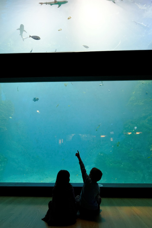 Lyon: Aquarium Entrance Ticket - Your Route Through Six World-Style Exhibits