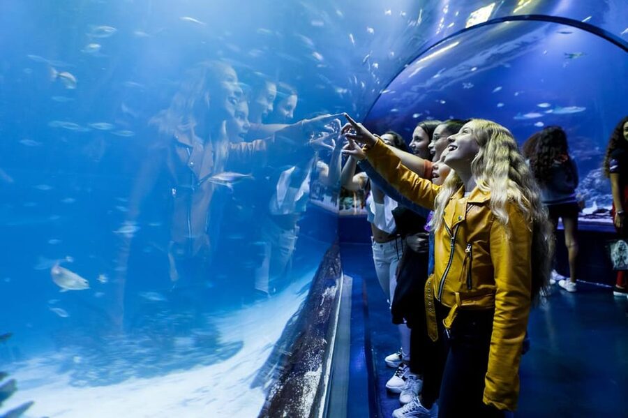 Madrid: Atlantis Aquarium Entry Ticket - Your Walk Through 20 Aquariums: Mangroves to Antarctica