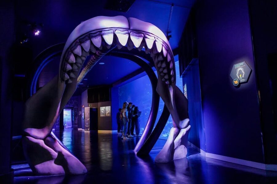 Madrid: Atlantis Aquarium Entry Ticket - The Ambassador of Atlantis Badge: A Reward System for Attention