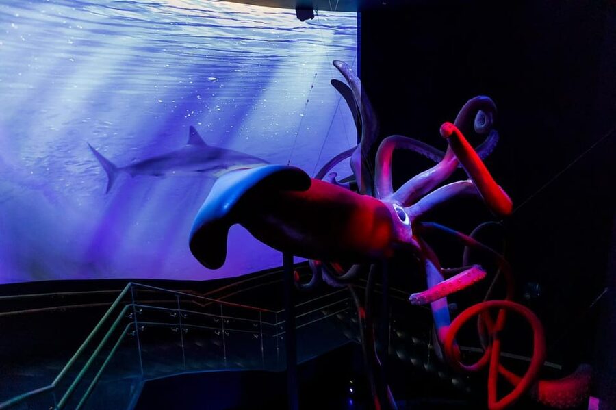 Madrid: Atlantis Aquarium Entry Ticket - Educational Stops That Actually Change How You Look at Water