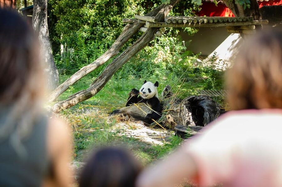 Madrid: Zoo Aquarium Madrid Ticket - Zoo Aquarium Madrid Ticket: What You’re Really Getting in Casa de Campo