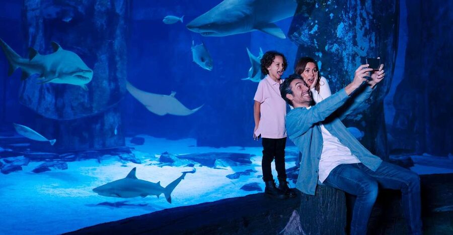 Mall of America: Sea Life Minnesota Aquarium Entry Ticket - What Your SEA LIFE Minnesota Ticket Really Covers