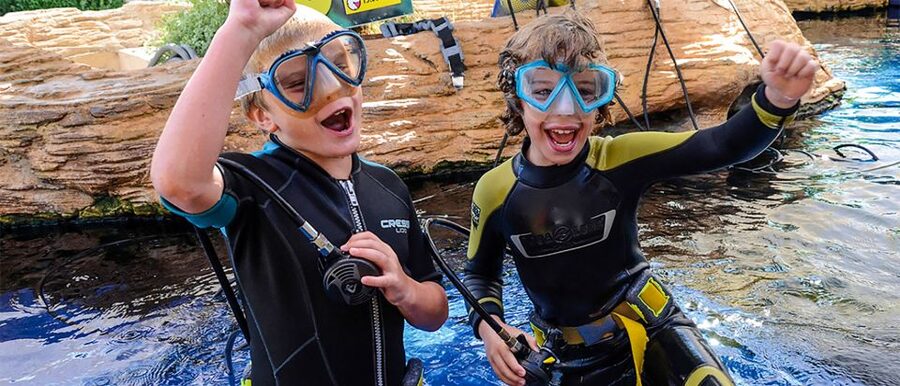 Mallorca: Palma Aquarium Entry Ticket w/ Optional 3D Cinema - Key Things You’ll Notice at Palma Aquarium