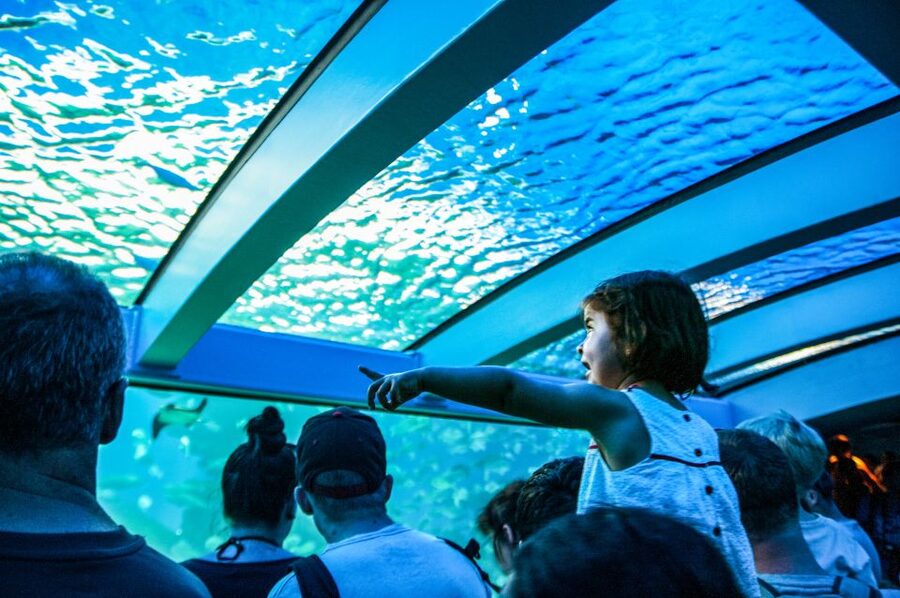 Mallorca: Palma Aquarium Entry Ticket w/ Optional 3D Cinema - Family-Friendly Energy: Indoor Playgrounds and Outdoor Water Fun