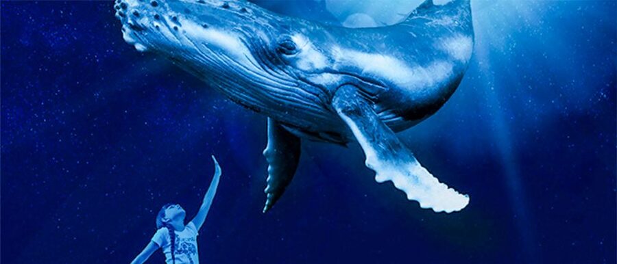 Mallorca: Palma Aquarium Entry Ticket w/ Optional 3D Cinema - Big Blue Sharks, Coral Gardens, and a Short Walk That Feels Like a Whole Day