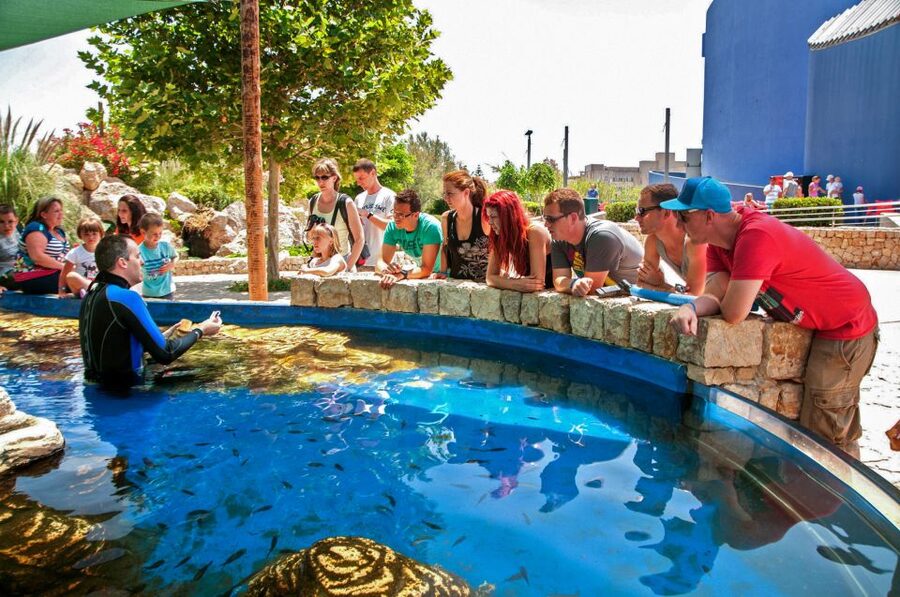 Mallorca: Palma Aquarium Entry Ticket w/ Optional 3D Cinema - The 1 km+ Marine Walk: 8 Themed Habitats You Can Actually Follow