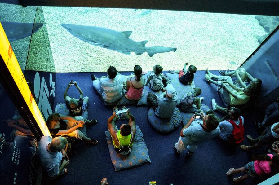 Mallorca: Palma Aquarium Entry Ticket w/ Optional 3D Cinema - Living Corals: Why This Exhibition Feels Different Than “Just Fish”