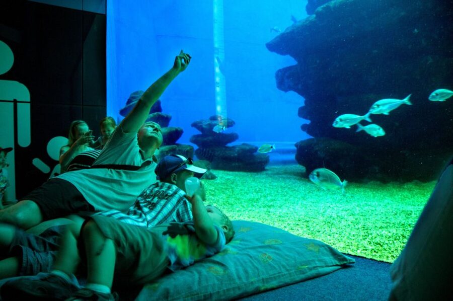 Mallorca: Palma Aquarium Tickets with Transfer - Language support: a tour guide you can actually hear