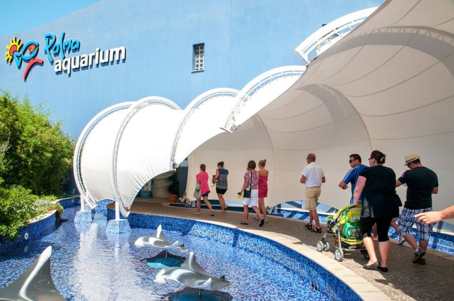 Mallorca: Palma Aquarium Tickets with Transfer - Stop 2: The 50-minute coach ride to Palma Aquarium