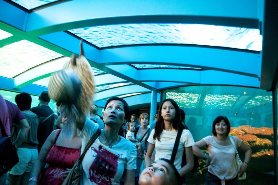 Mallorca: Palma Aquarium Tickets with Transfer - Stop 3: Palma Aquarium free time (about 5 hours)