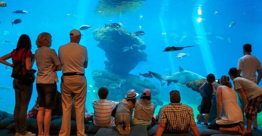 Mallorca: Palma Aquarium with Transfers, Guide & Fast Entry - Quick hits: what you’ll notice right away
