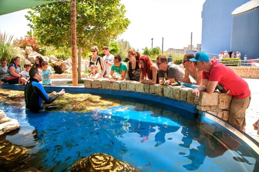 Mallorca: Palma Aquarium with Transfers, Guide & Fast Entry - Price and value: what $57 buys you in real terms