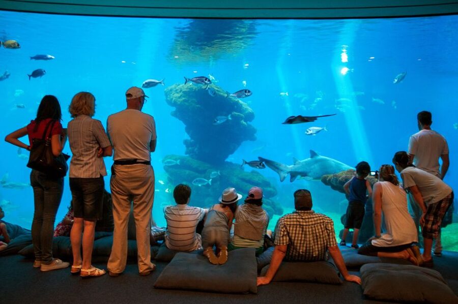 Mallorca: Palma Aquarium with Transfers, Guide & Fast Entry - Alcúdia to Palma: transfer timing that keeps the day easy