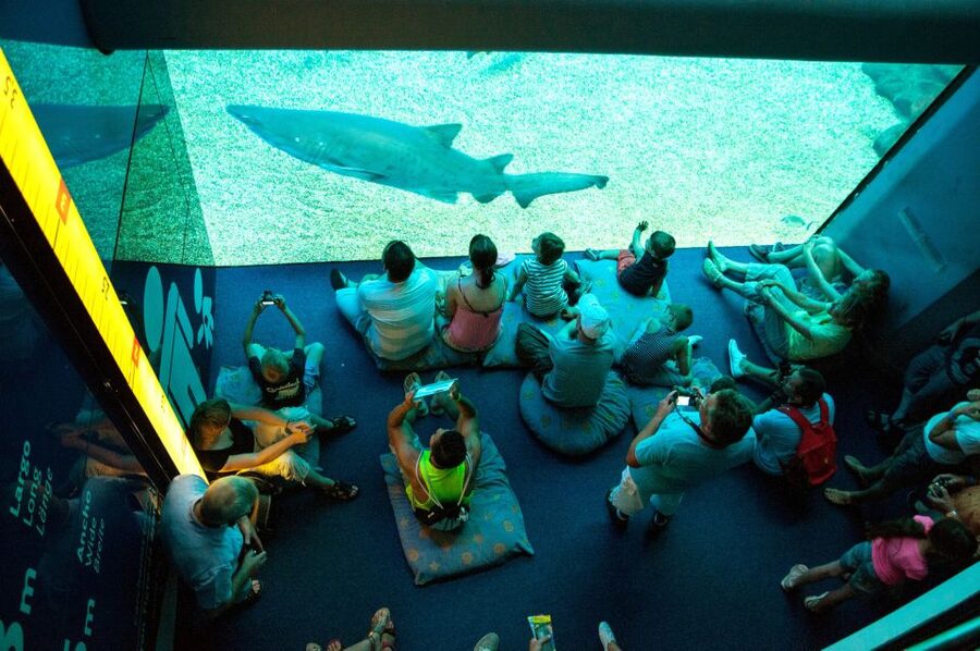 Mallorca: Palma Aquarium with Transfers, Guide & Fast Entry - Zoning the aquarium: Mediterranean to tropical jungle at your pace