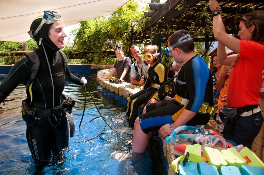 Mallorca: Palma Aquarium with Transfers, Guide & Fast Entry - Fast-track entry and re-entry: how the day stays flexible